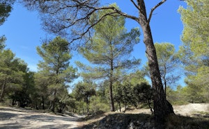 Autour de Pernes-les-Fontaines