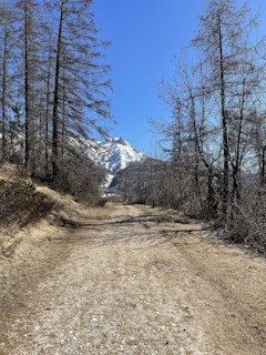 Bois de Vacheresse
