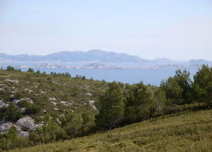 Bourgailles Caucarières