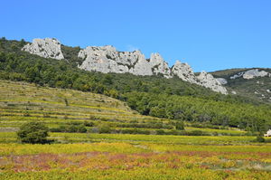 Rocher du Midi depuis Girondas