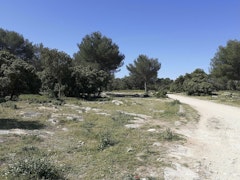 Colline de Grans