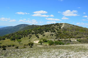 Crêtes de Vitrolles-en-Luberon