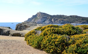 Îles du Gaou