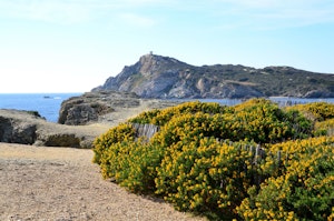 Îles du Gaou