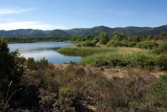 Lac des Escarcets
