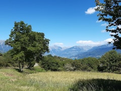 Bois Ségnieres