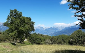 Bois Ségnieres