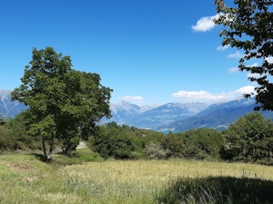 Bois Ségnieres
