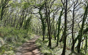 Le camp romain