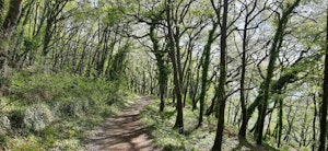 Le camp romain