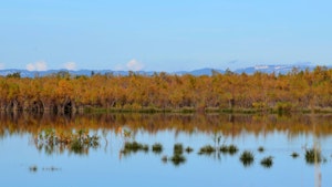 Marais du Verdier