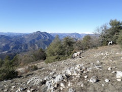 Mont Férion