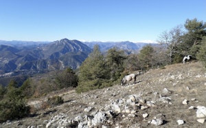 Mont Férion