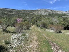 Montagne des Louquiers