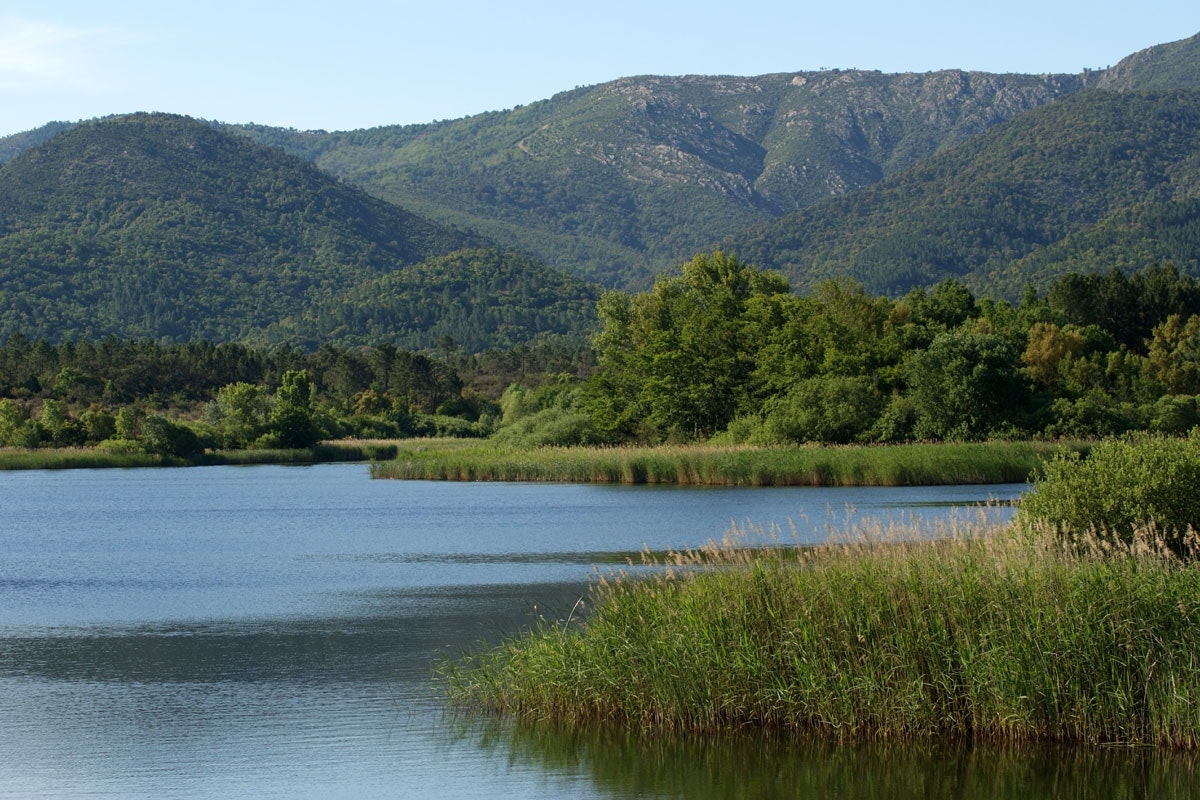 Plaine des Maures