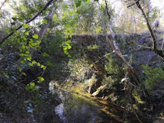 Saint-Jean de Villecroze