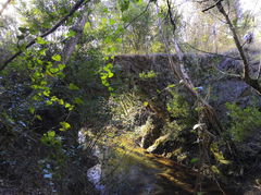 Saint-Jean de Villecroze