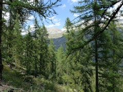 Sentier Botanique du Bez
