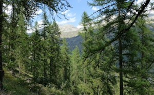 Sentier Botanique du Bez