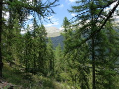 Sentier Botanique du Bez