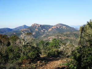 Sommet des Grosses Grues