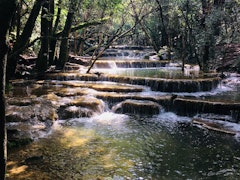 Sources de l'Huveaune