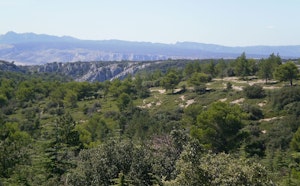 Trou du Rat