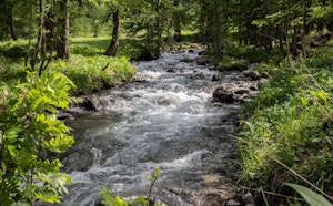 Vallon de Narreyroux