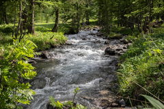 Vallon de Narreyroux