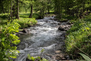 Vallon de Narreyroux