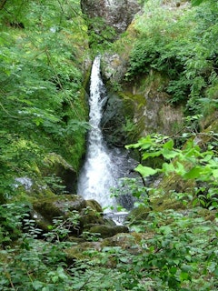 Devil's Glen Wood 