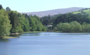 Bohernabreena Reservoir Upper Loop