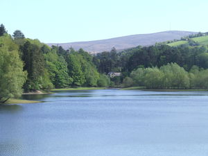 Bohernabreena Reservoir Upper Loop