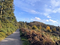 Carrickgollogan and Barnaslingan Loop
