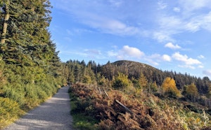 Carrickgollogan and Barnaslingan Loop