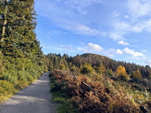 Carrickgollogan and Barnaslingan Loop