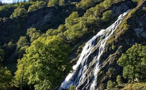Djouce Wood and Powerscourt Waterfall Loop