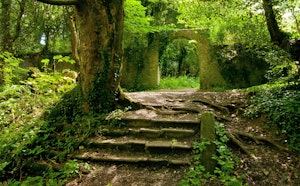 Massey's Estate Nature Trail