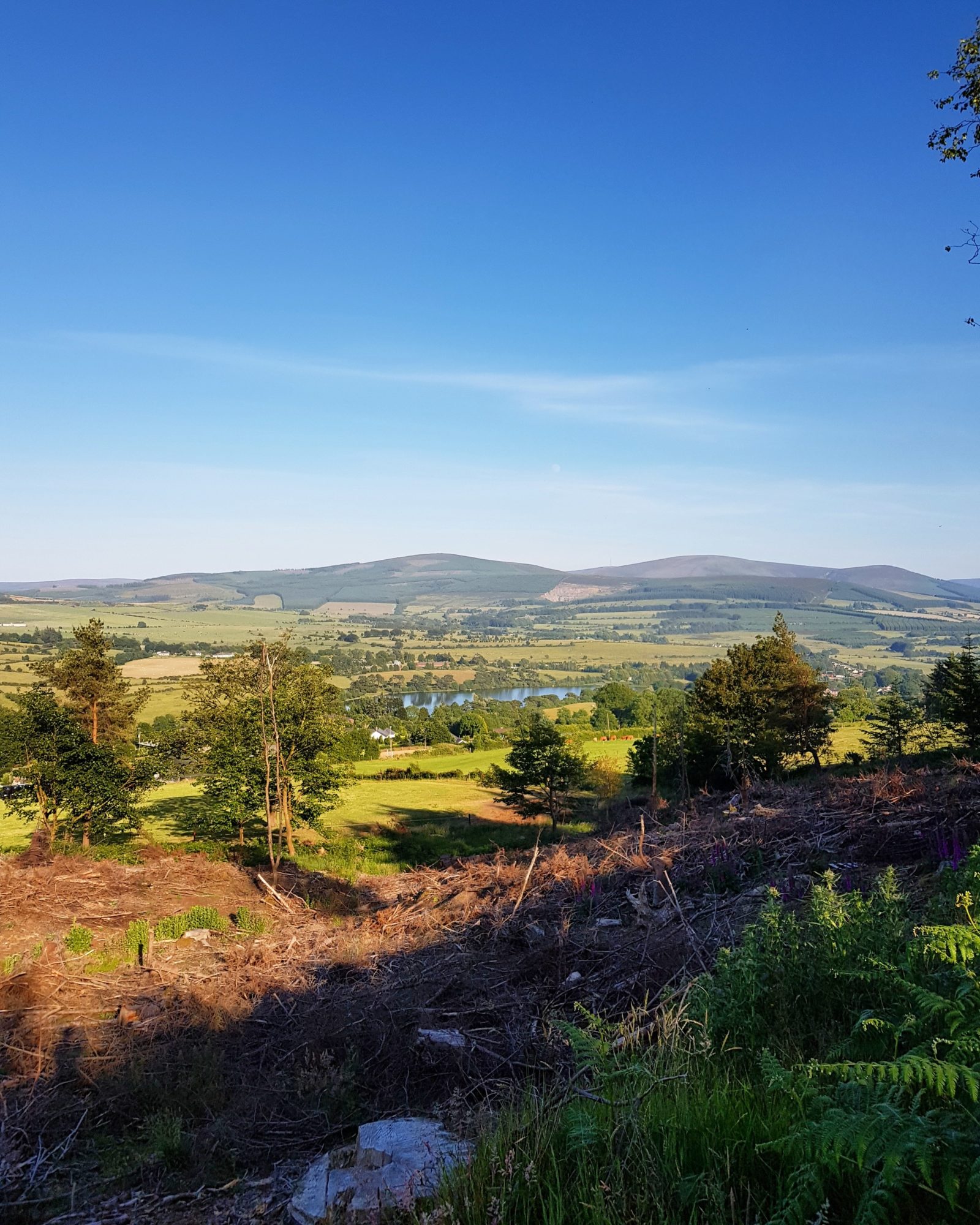 Saggart Hill 