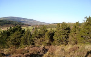 Two Rock Mountain Loop