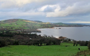 Ballycuggaran Forest and Moylussa