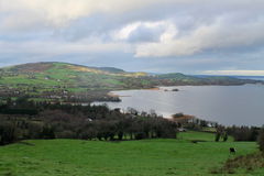 Ballycuggaran Forest and Moylussa