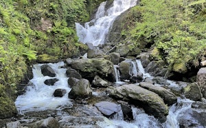 Muckross House and Torc Waterfall Loop