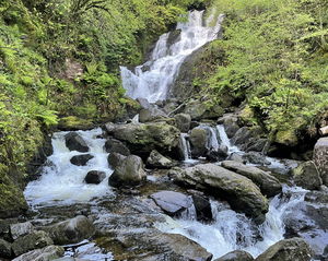 Muckross House and Torc Waterfall Loop