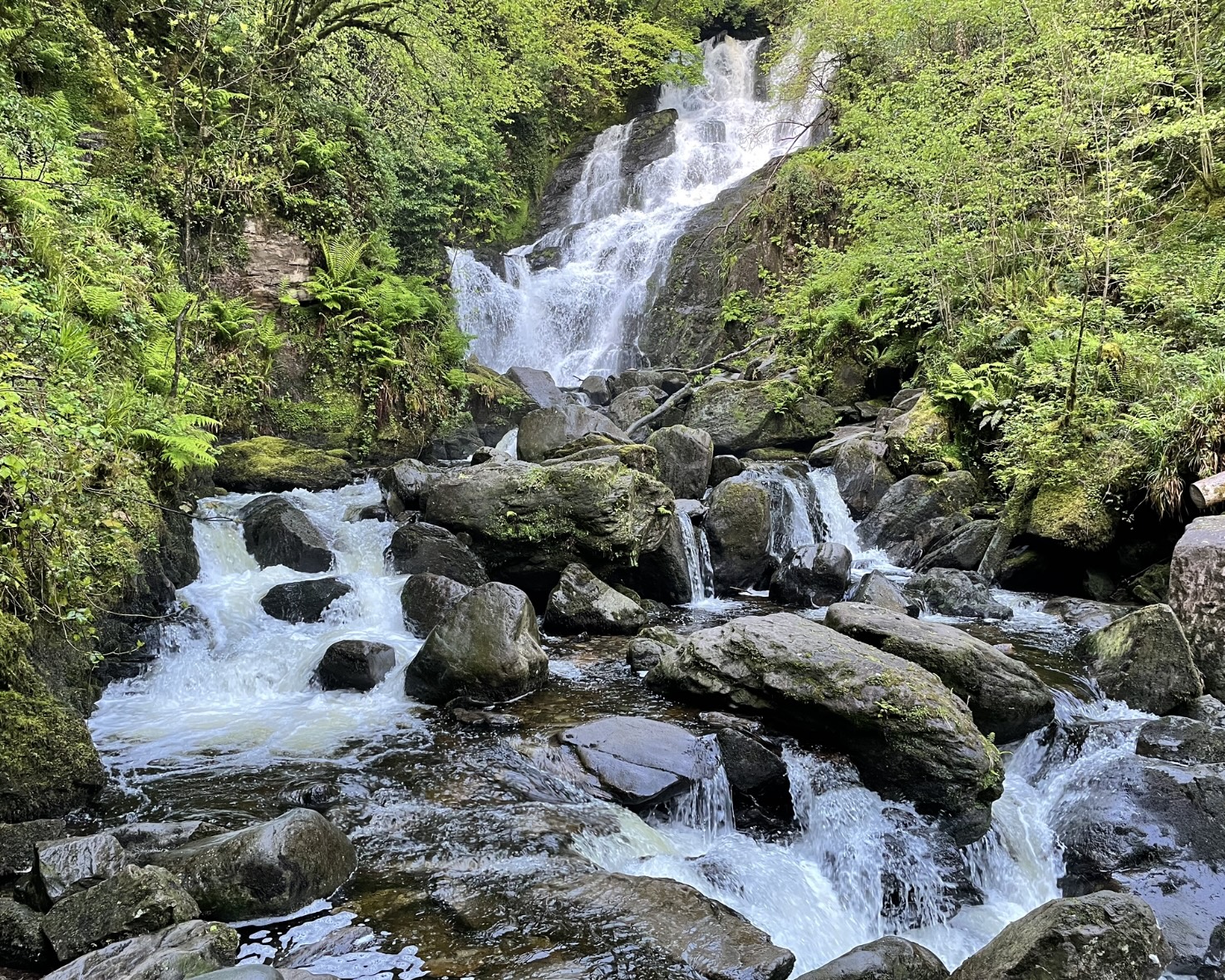 Muckross House and Torc Waterfall Loop