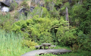Clevedon Scenic Reserve Track