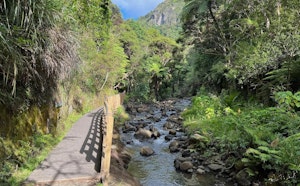 Mount Donald McLean
