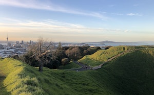 Maungawhau Path