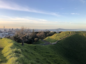 Maungawhau Path