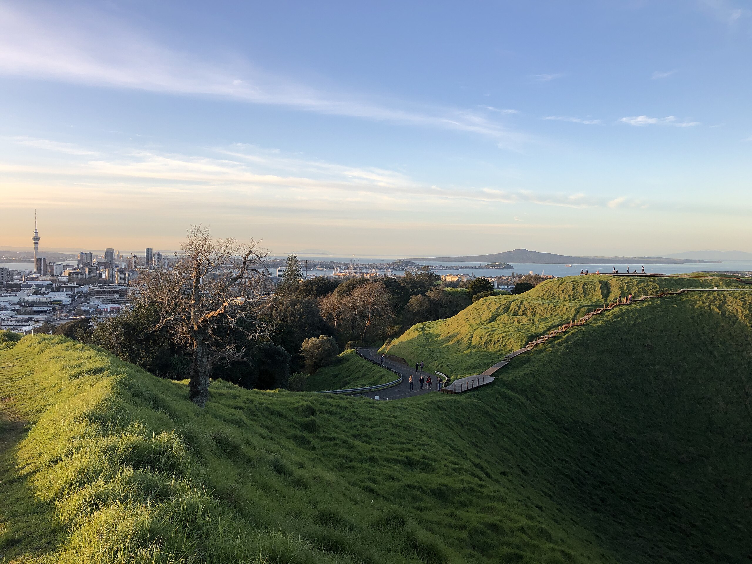 Maungawhau Path